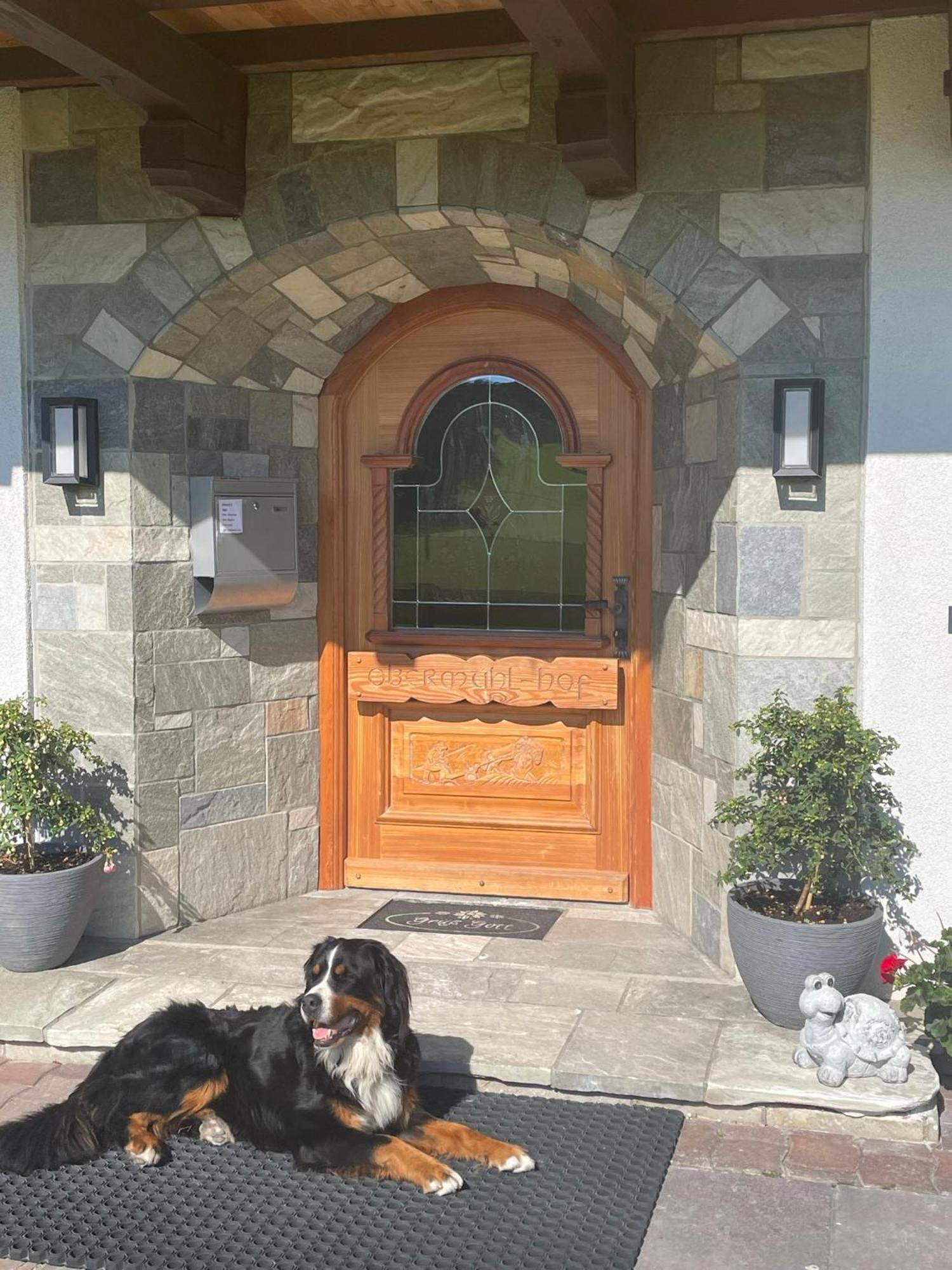 Apartamento Obermuehlhof Saalfelden Exterior foto